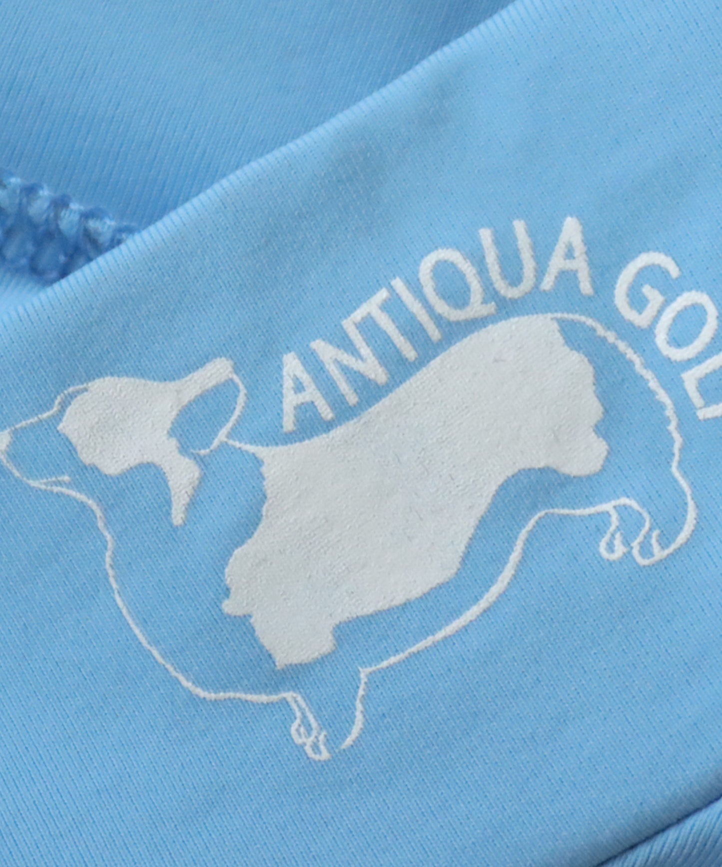 ANTIQUAGOLF×STCH Men's T -shirt