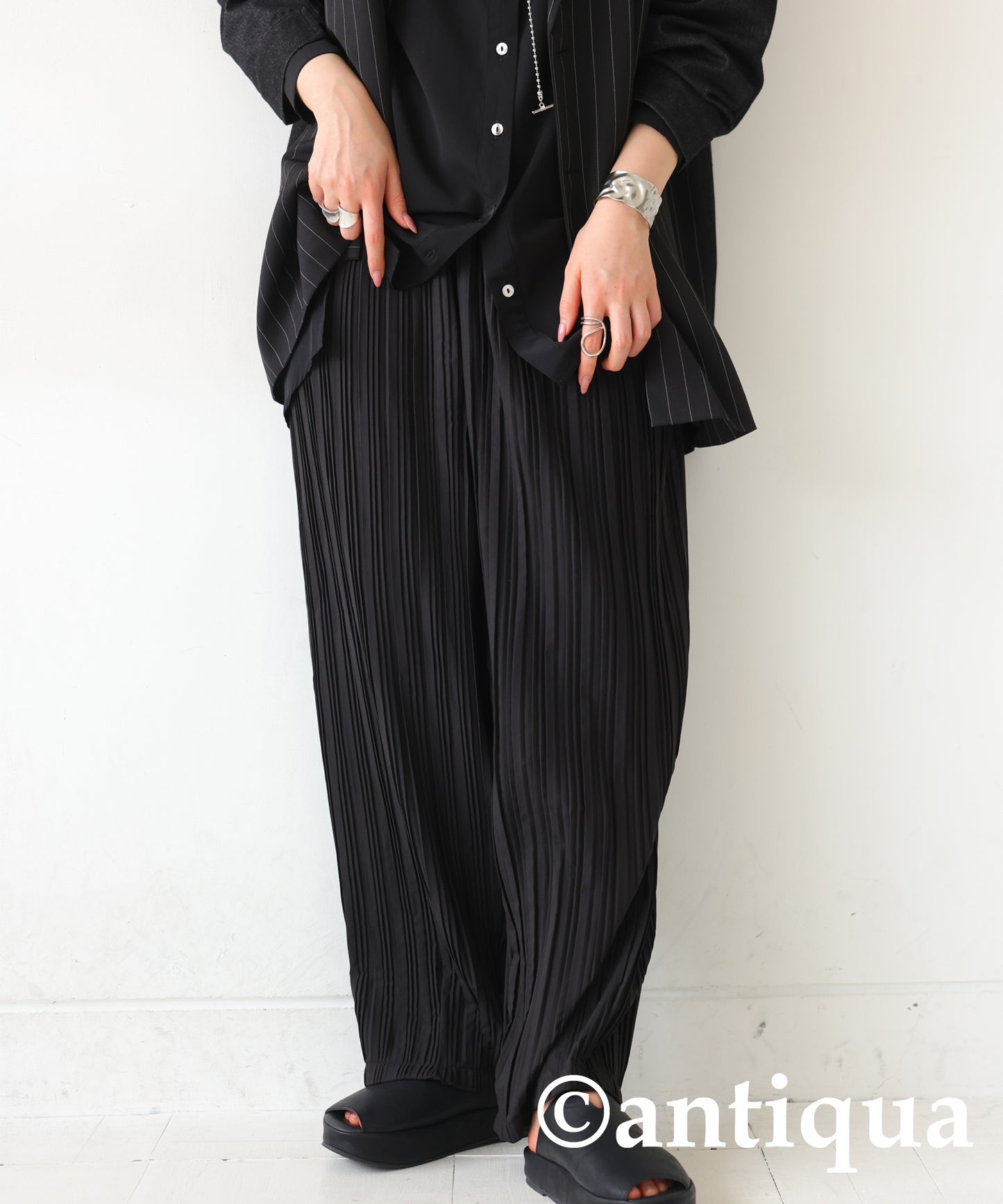 Pleated Pants Ladies