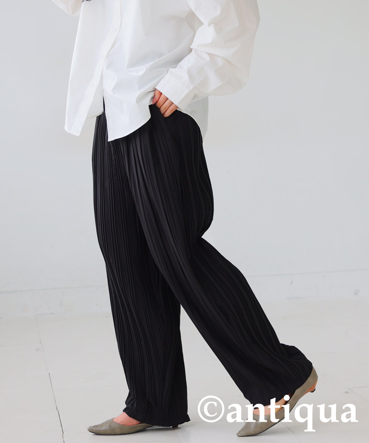 Pleated Pants Ladies