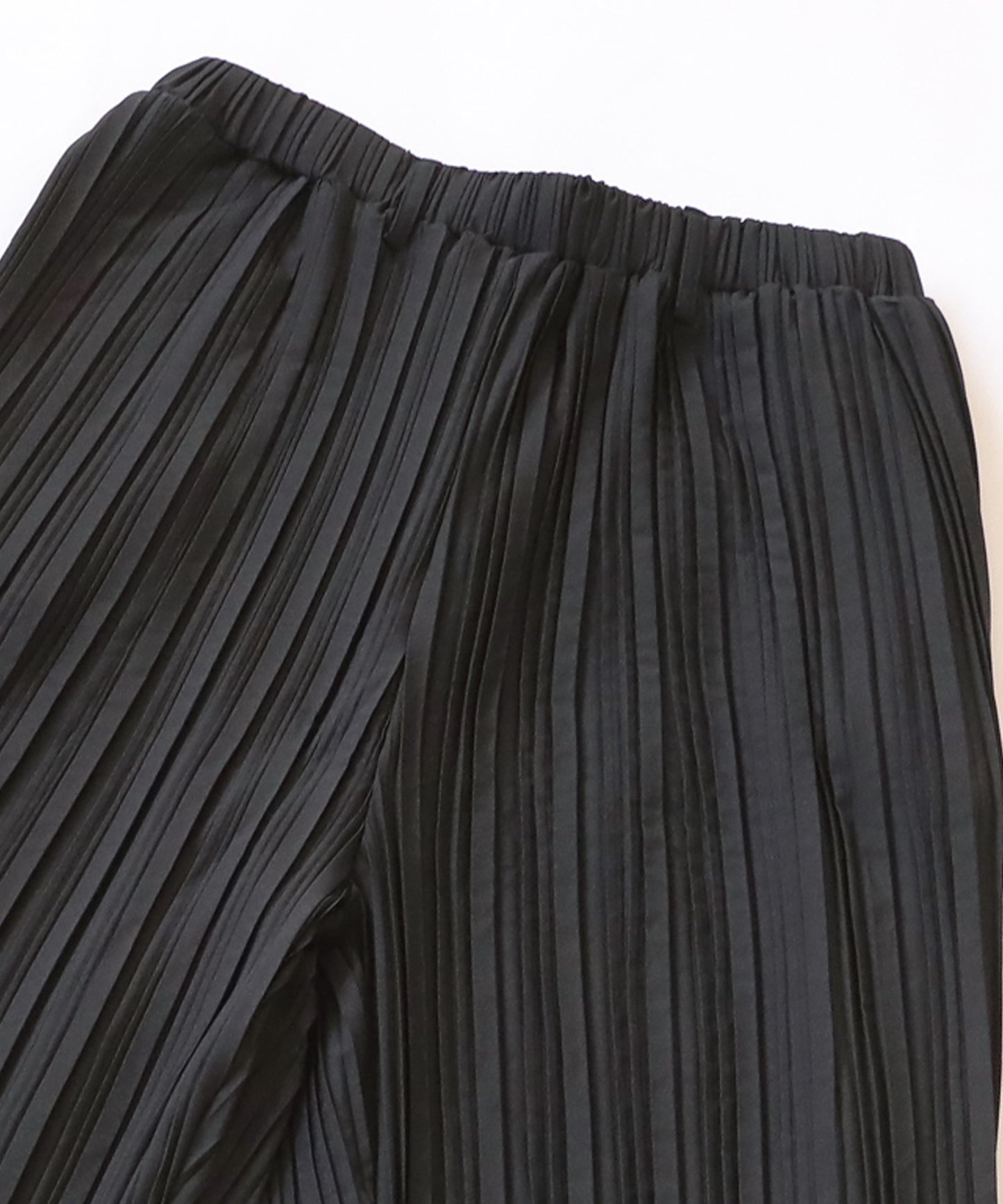 Pleated Pants Ladies