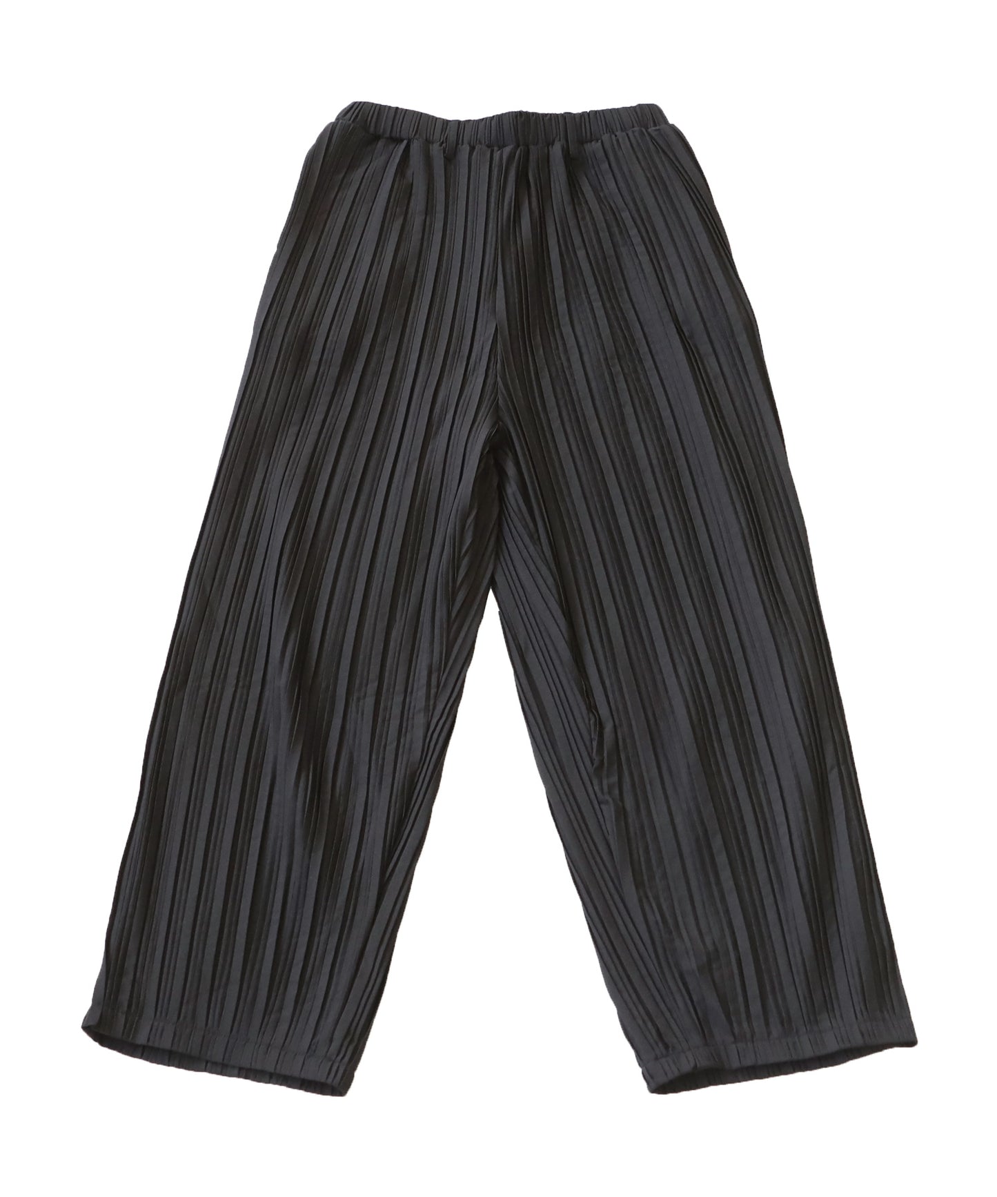 Pleated Pants Ladies