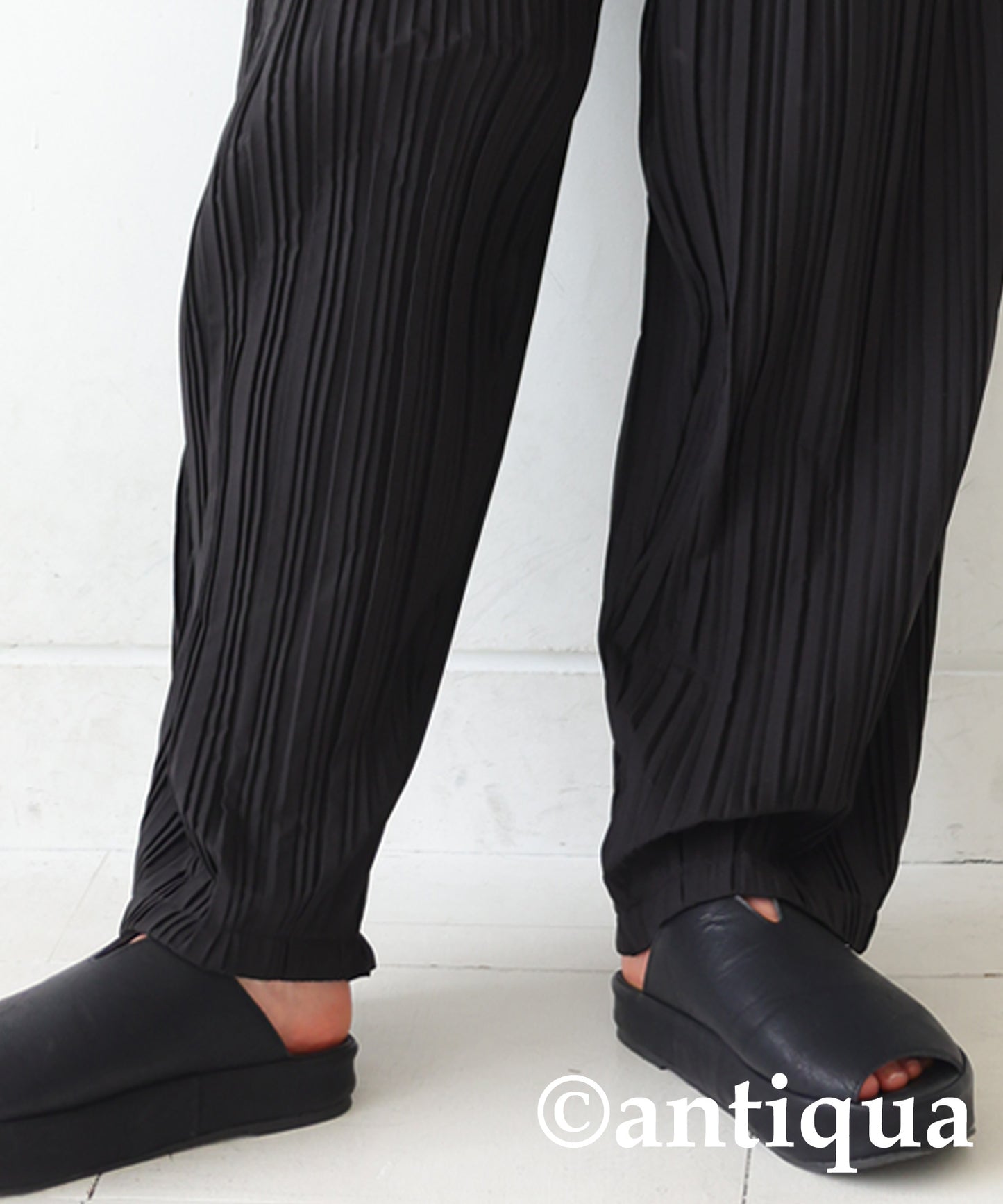 Pleated Pants Ladies