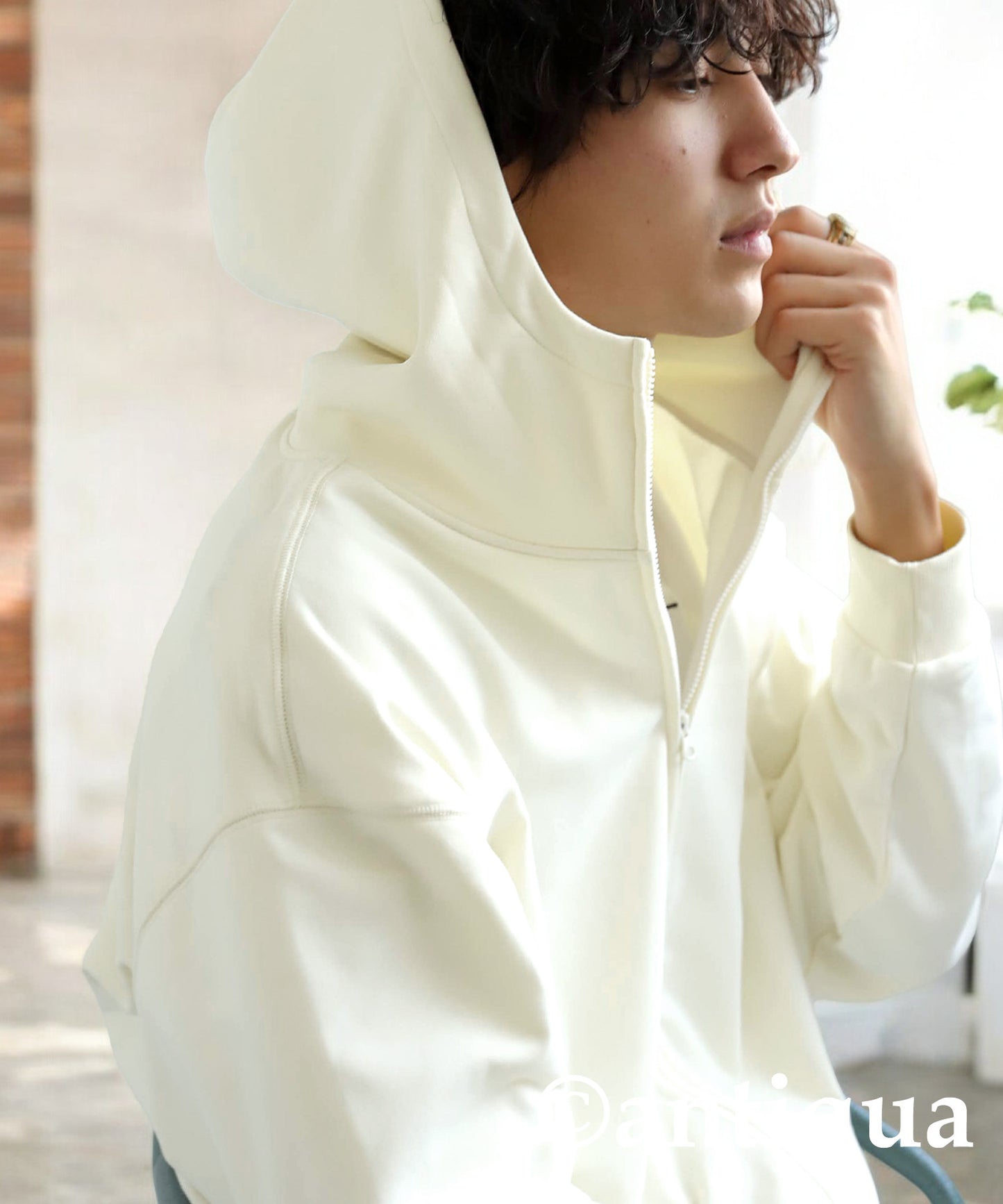 Short Zip Hoodie Men's